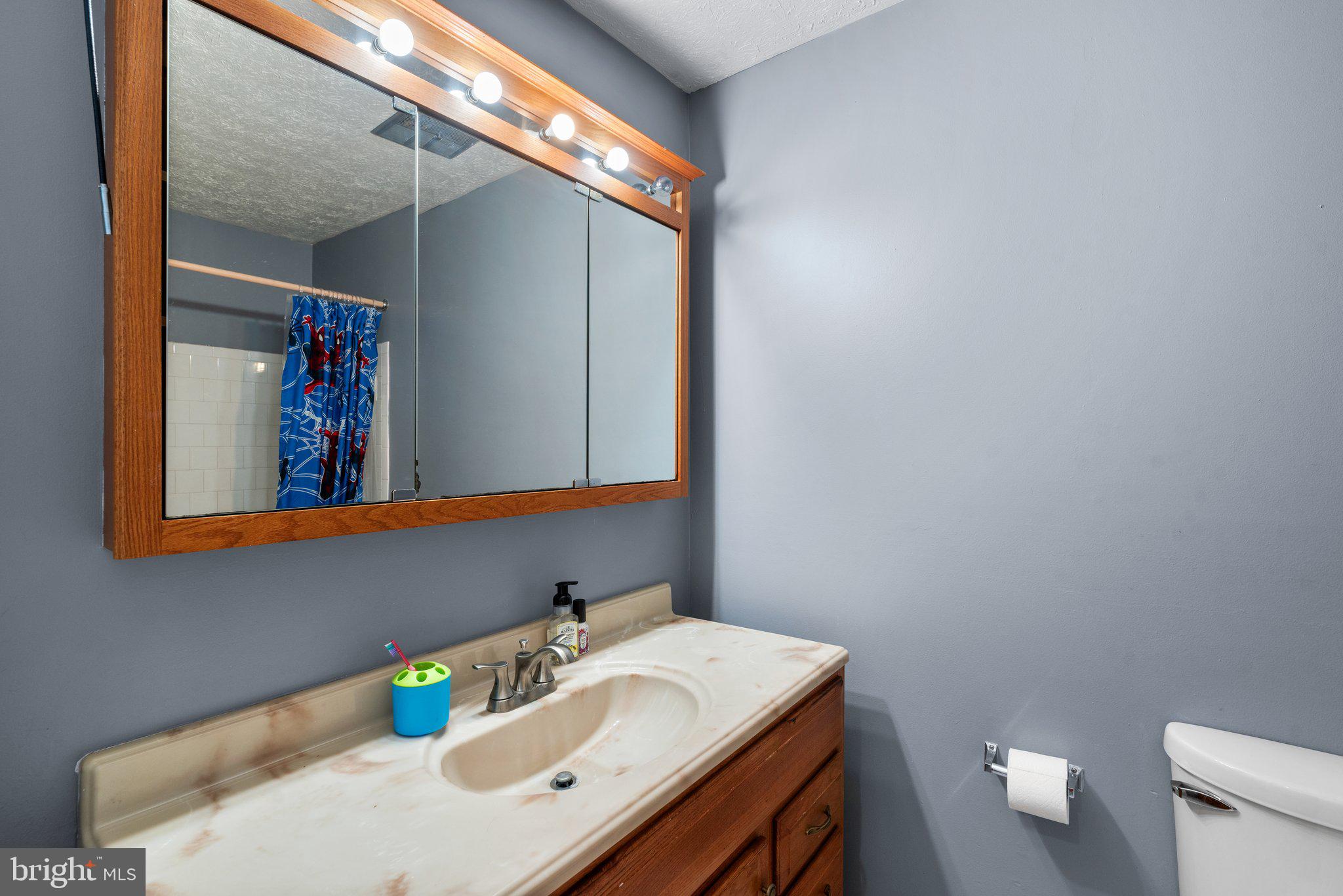 7836 Metacomet Road Hanover, MD 21076 - Photo 36 of 54 FULL BATH