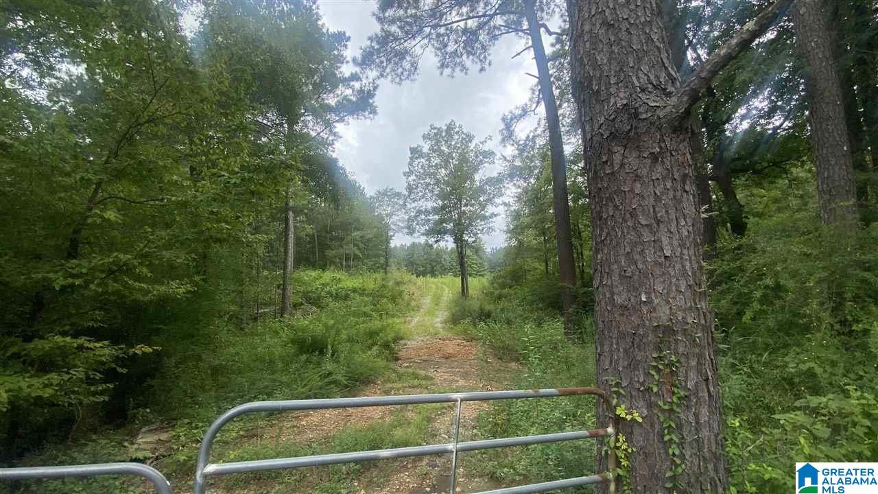 1009 Deaver Walker Road, Unit 1009 Trafford, AL 35172 - Photo 1 of 4