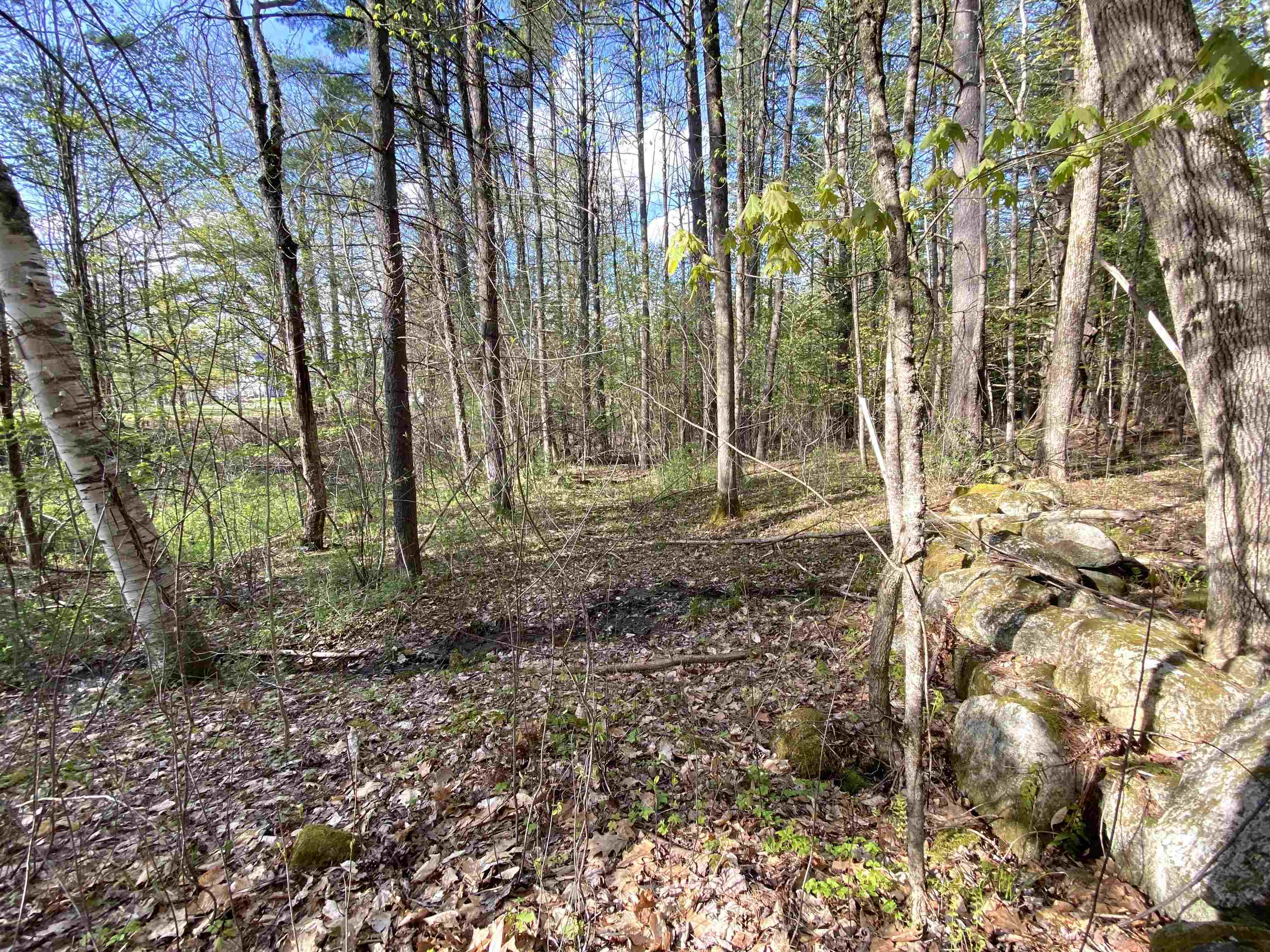 364 Bonnyvale Road Brattleboro, VT 05301 - Photo 25 of 30