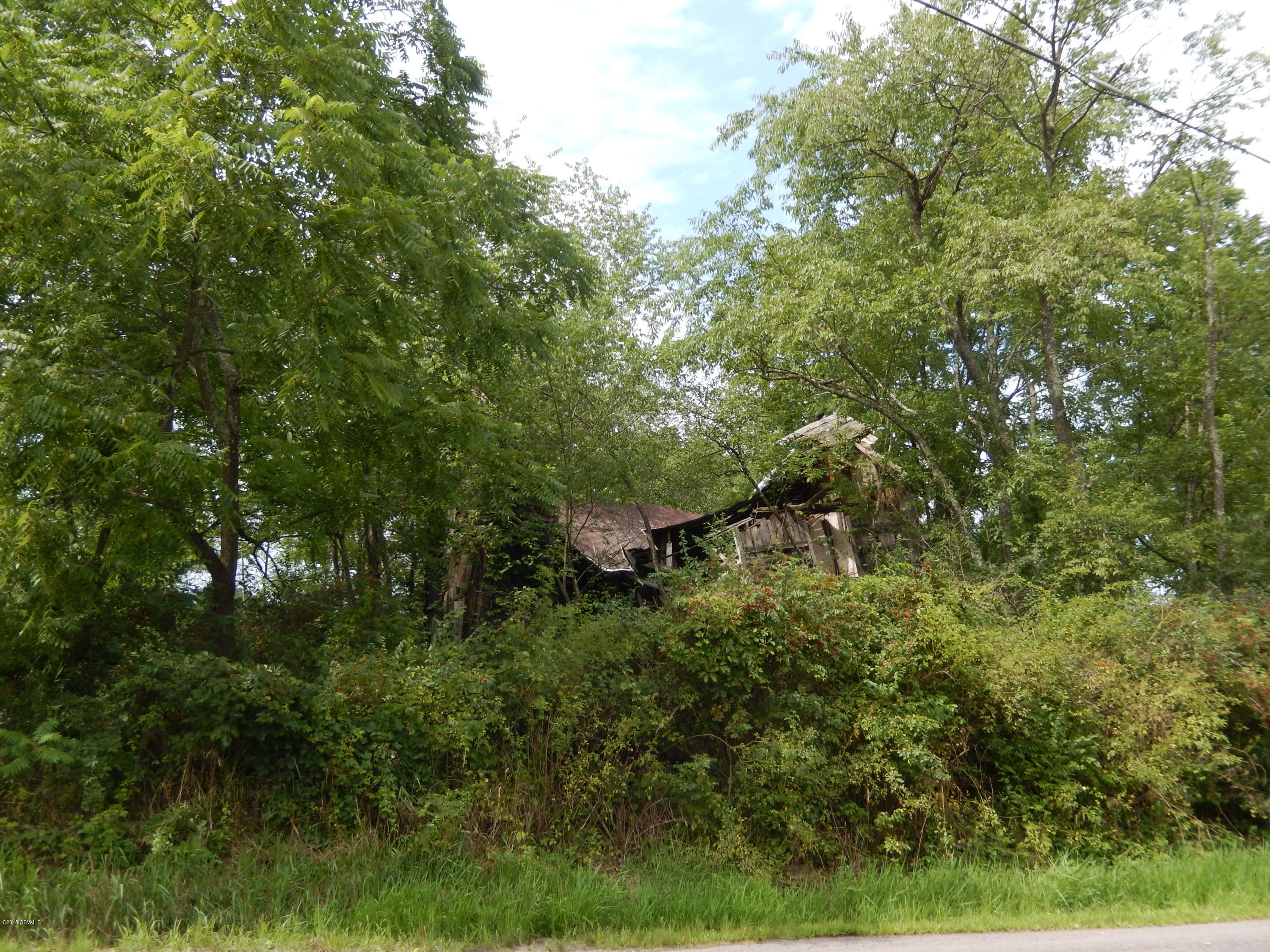 Robbins Road Huntington Mills, PA 18622 - Photo 2 of 3