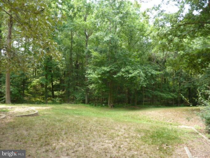 4005 Bullitt Neck Road Marbury, MD 20658 - Photo 2 of 16 Back yard