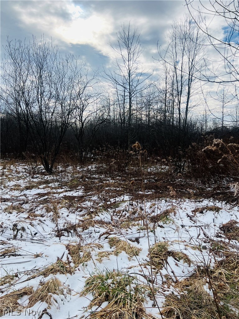 8670 Fortney Road Orwell, OH 44076 - Photo 10 of 19