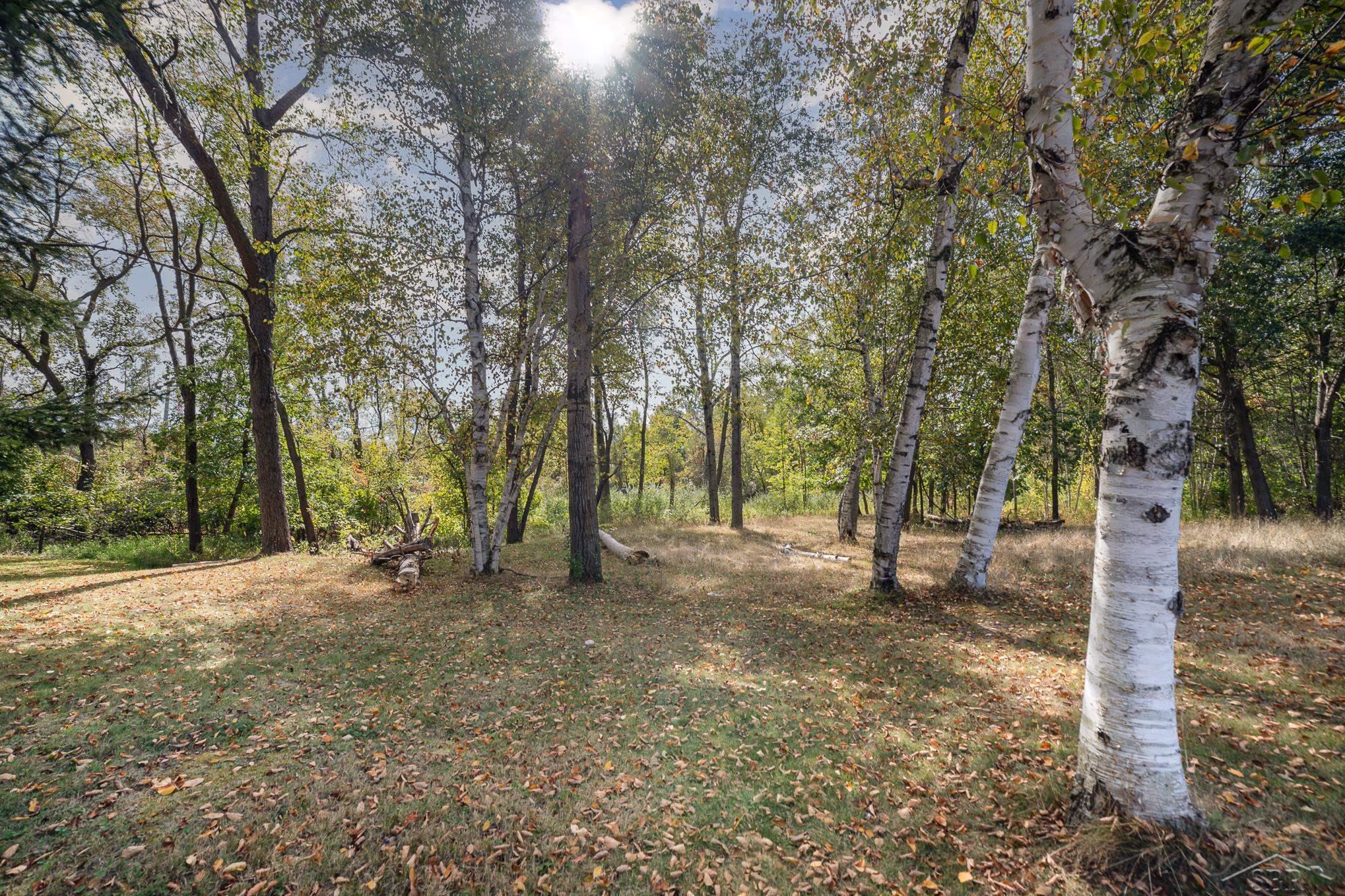2084 East Coggins Road Pinconning, MI 48650 - Photo 31 of 45 Gallery Image 31