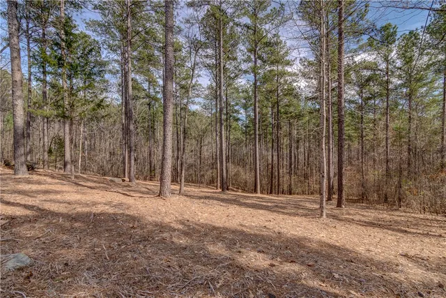 $150,000 | Lot 20 Grays Peak Drive, Salem, SC 29676