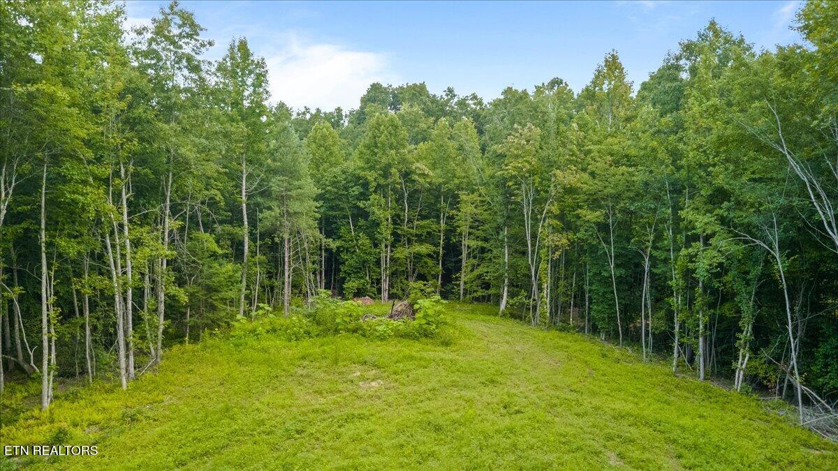 638 Jane Phillips Road Oneida, TN 37841 - Photo 1 of 16 14-Jane Phillips Rd