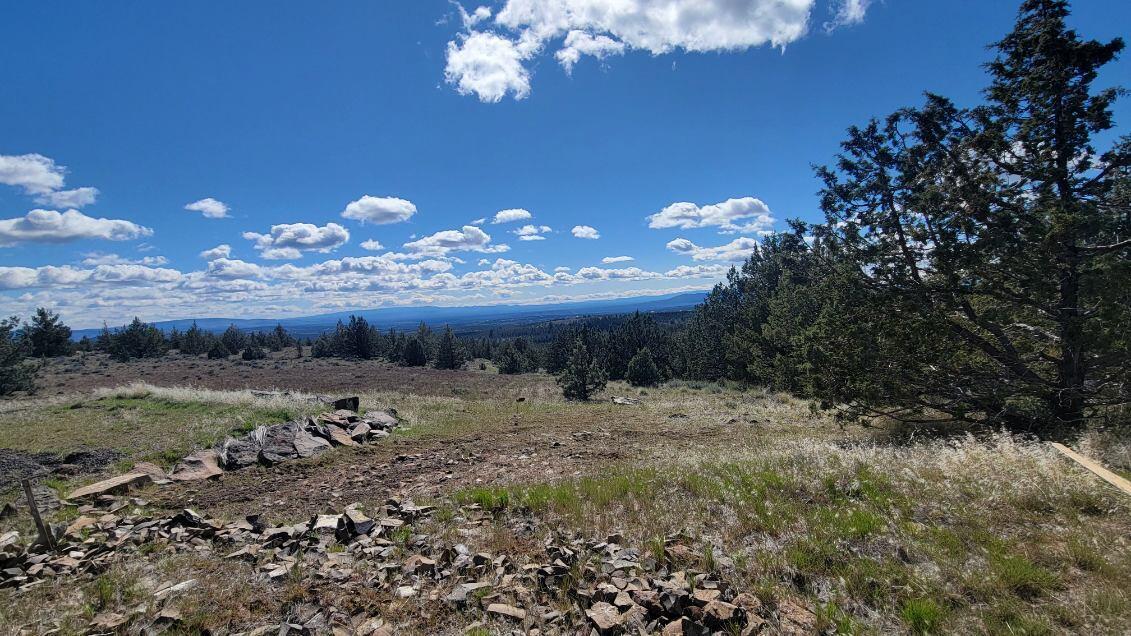 1000 Southeast Wolf Road Prineville, OR 97754 - Photo 28 of 30 image000002 (3)