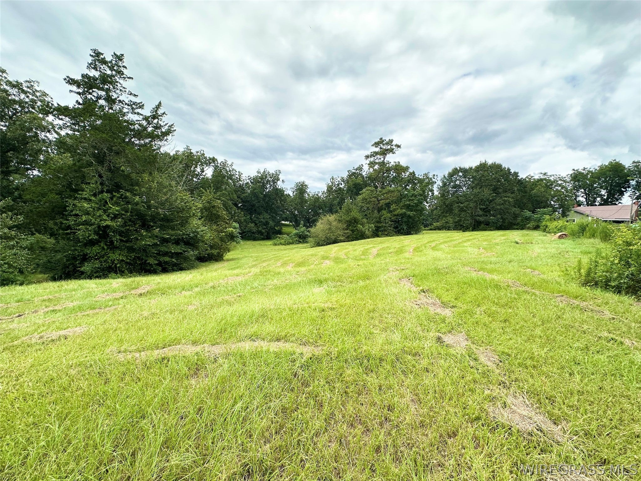 97 Rodeo Road Ariton, AL 36311 - Photo 53 of 60 Gallery Image 53