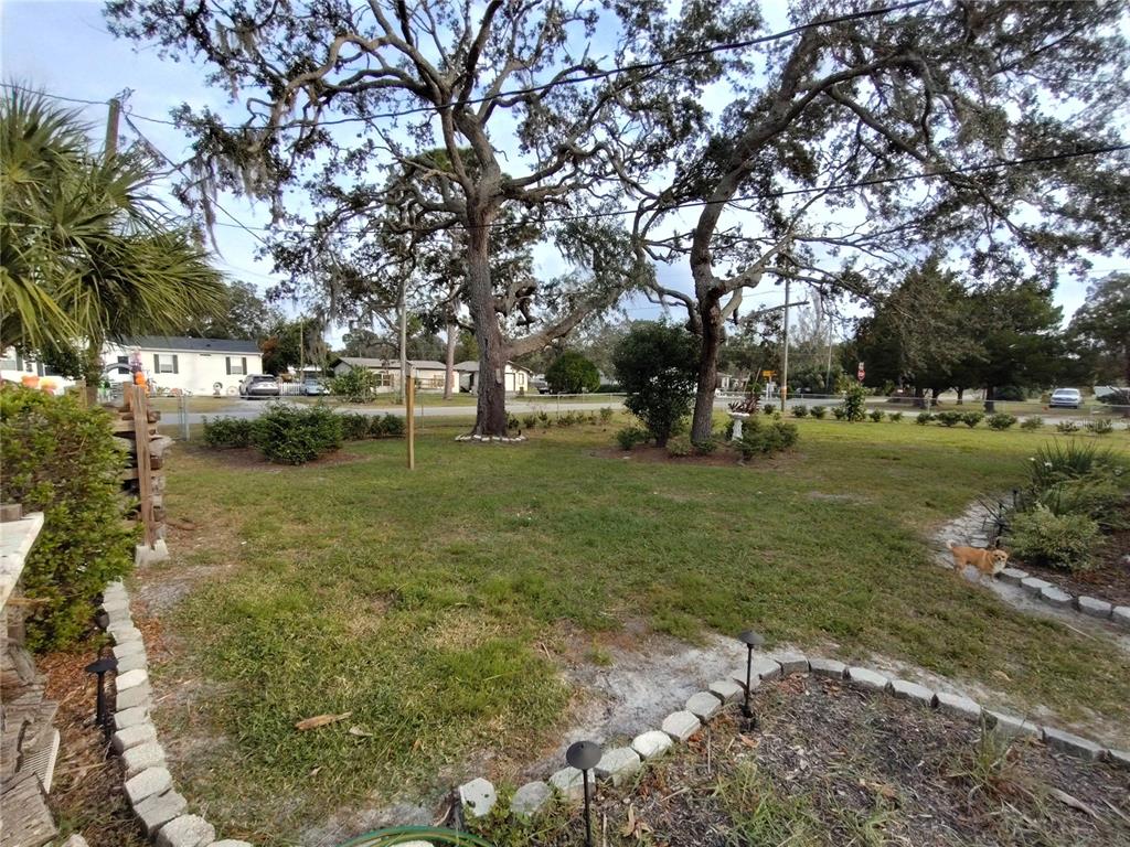 9811 Bud Street Hudson, FL 34669 - Photo 47 of 53 a view of a park with large trees