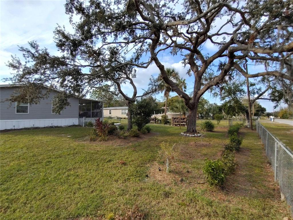 9811 Bud Street Hudson, FL 34669 - Photo 49 of 53 a view of a yard with a tree