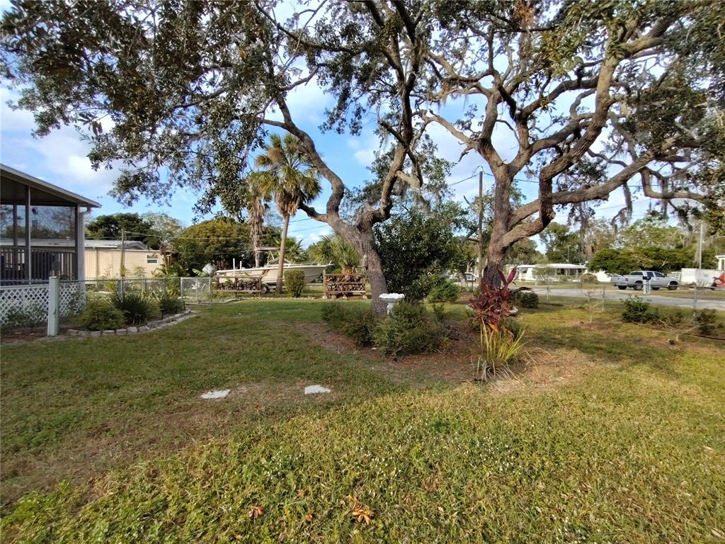 9811 Bud Street Hudson, FL 34669 - Photo 50 of 53 a backyard of a house with lots of green space