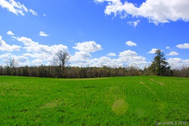 6716 Mitchell Mill Road Zebulon, NC 27597 - Photo 14 of 21