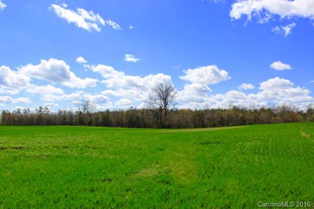 6716 Mitchell Mill Road Zebulon, NC 27597 - Photo 15 of 21