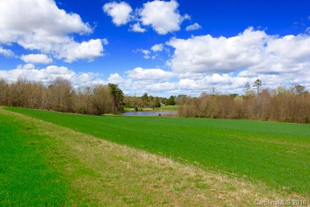 6716 Mitchell Mill Road Zebulon, NC 27597 - Photo 20 of 21