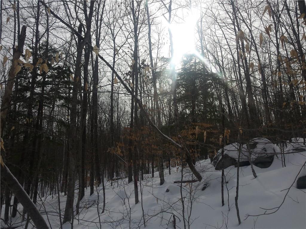 1 Wint Road Harrison, ME 04040 - Photo 9 of 12 Photo