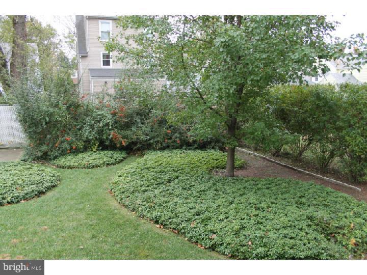 325 Sutherland Road Ewing, NJ 08618 - Photo 14 of 15 Back Yard