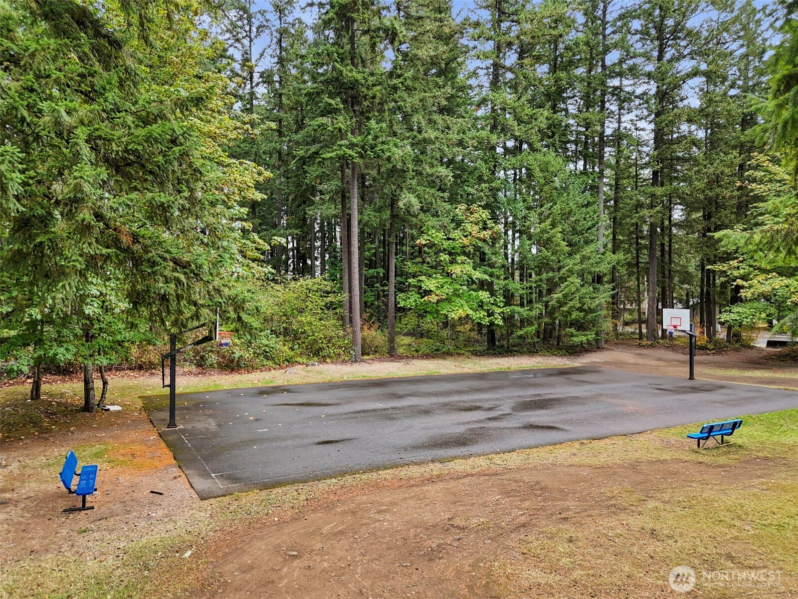 26604 191st Place Southeast Covington, WA 98042 - Photo 34 of 34 a backyard of a house with lots of green space