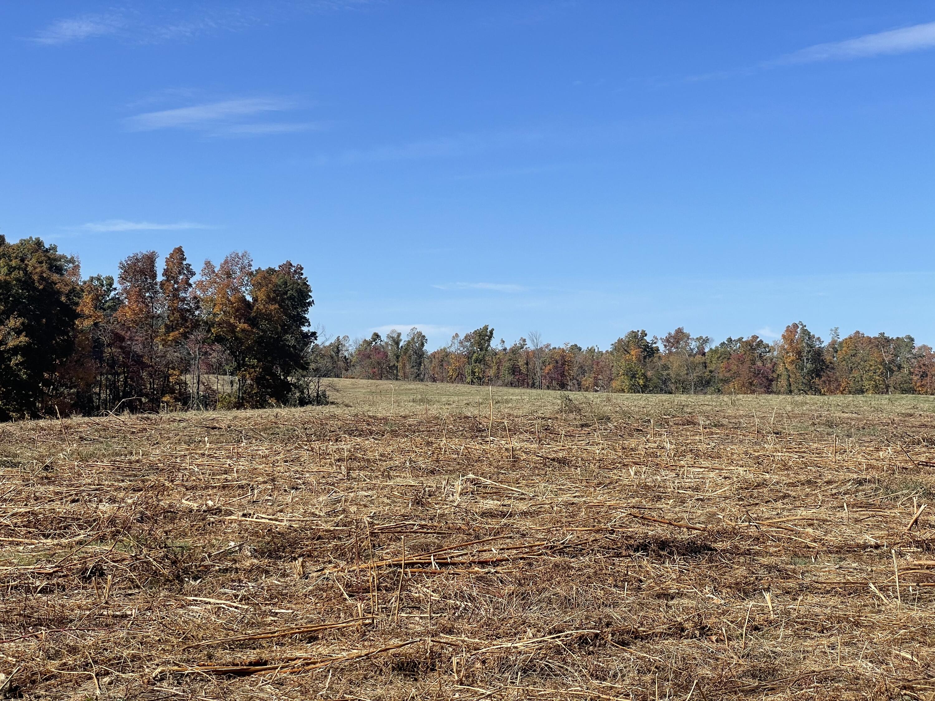 820 Osborne Road Brodhead, KY 40409 - Photo 9 of 11 CCF25788-1CE4-4C2A-89FC-AAA54EF07BFD