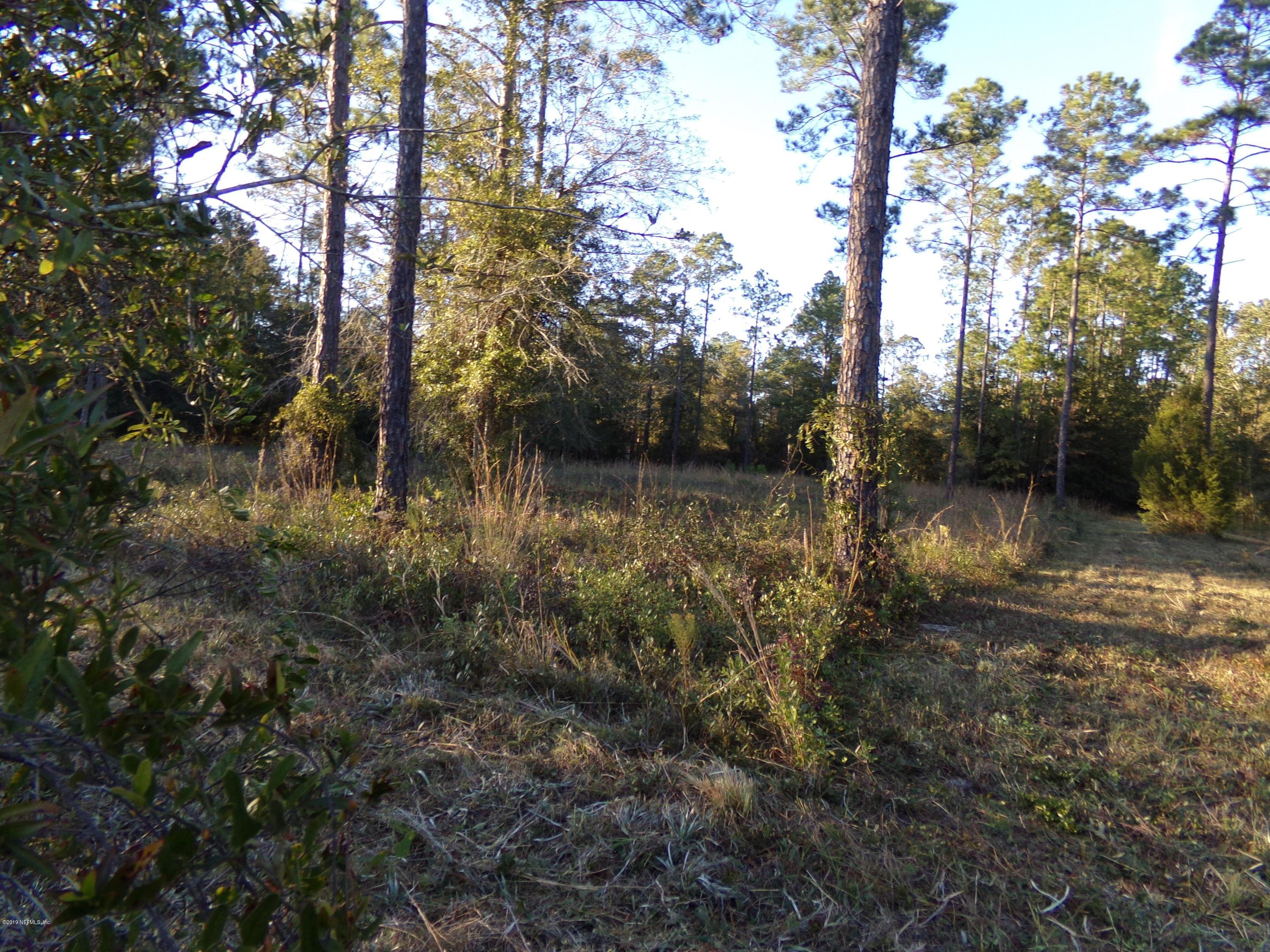 Lot 39 Bronco Road Middleburg, FL 32068 - Photo 1 of 5 a view of a lake with trees