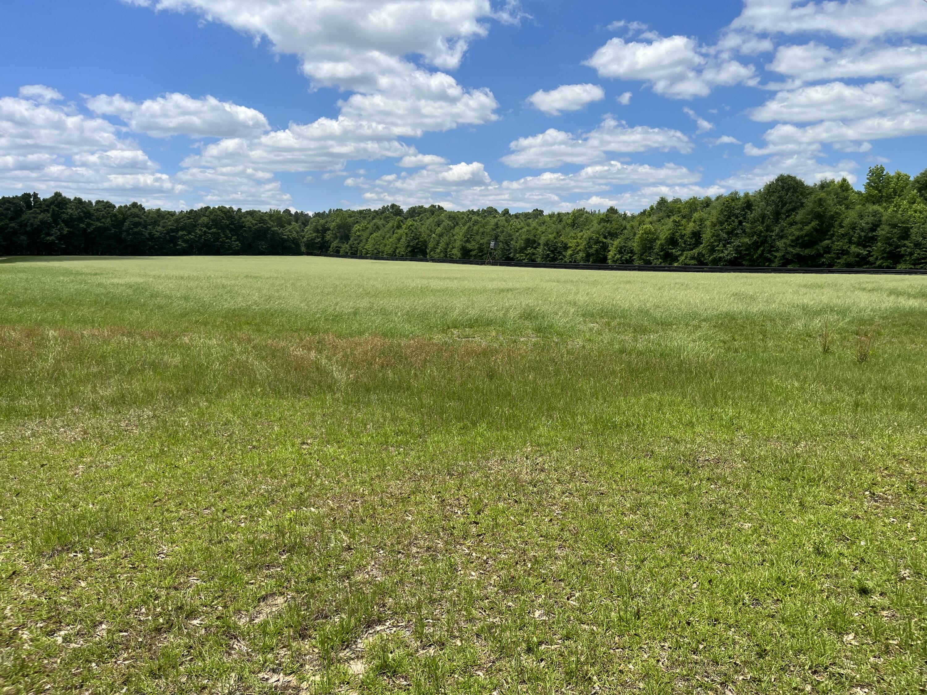 1114 Lott Bluff Road Blackville, SC 29817 - Photo 119 of 164