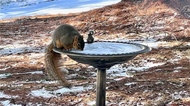 $1,650 | 955 Woodhollow Drive, Unit B, Cranberry Township, PA 16066