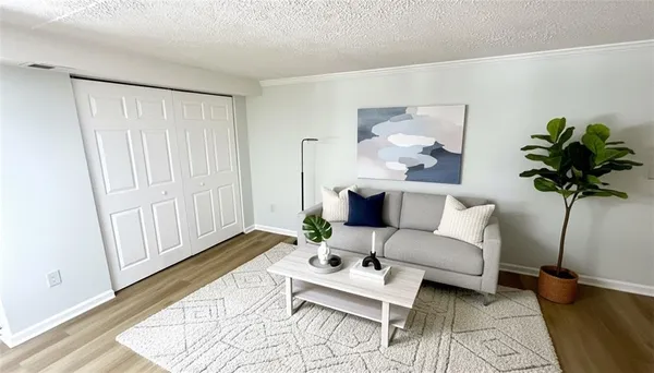 a living room with furniture and a potted plant