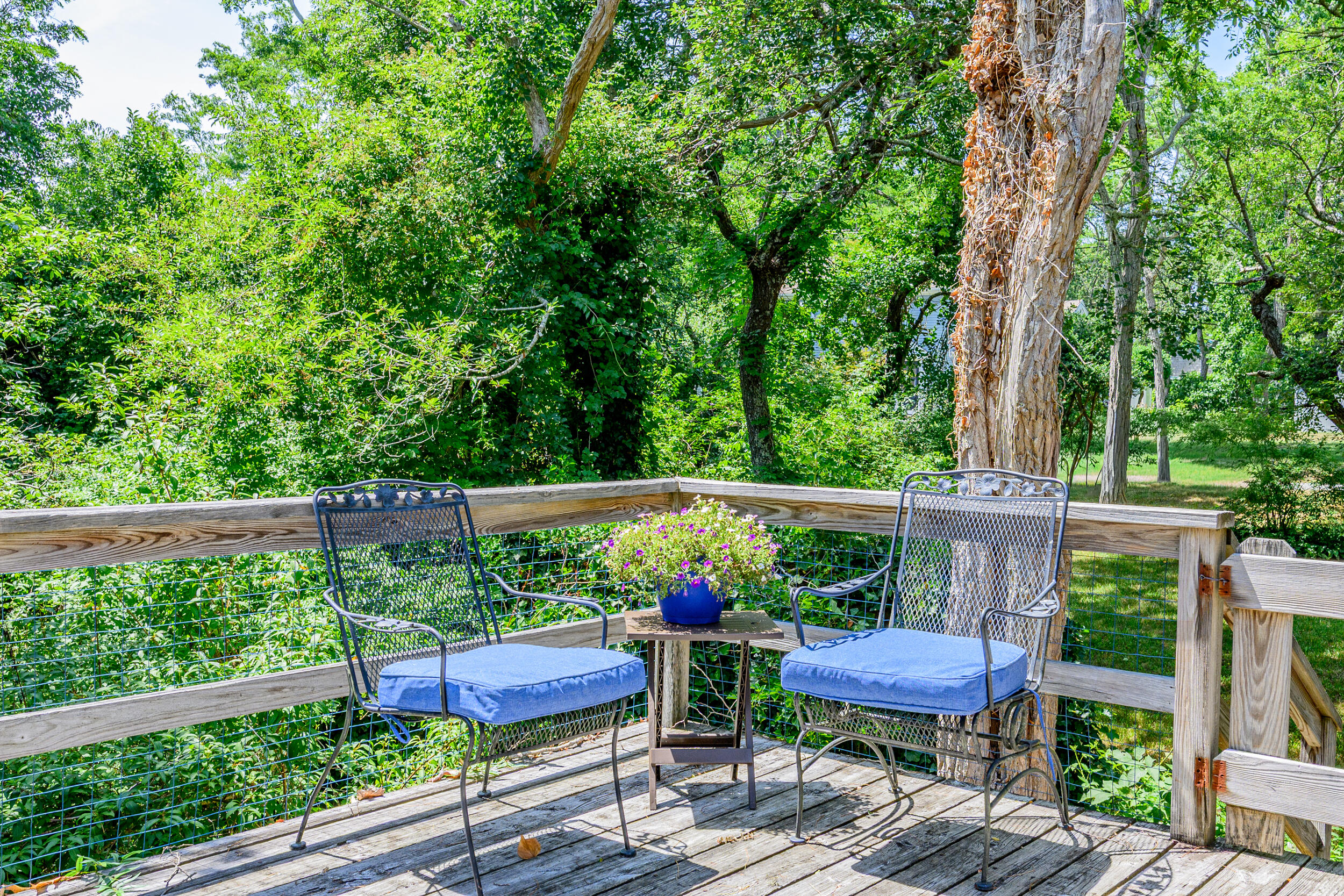 215 Cove View Road Wellfleet, MA 02667 - Photo 31 of 43 64_dsc_0538