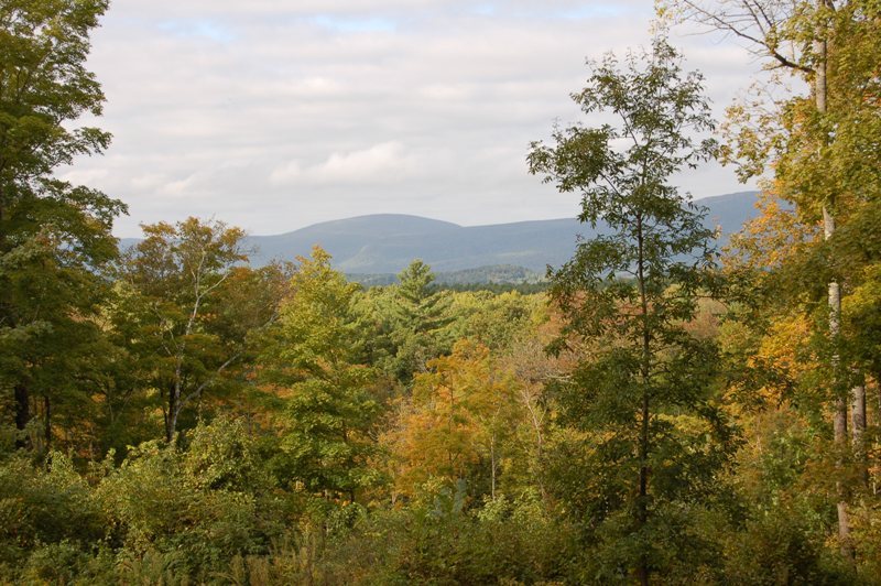 Home Road Great Barrington, MA 01230 - Photo 1 of 6 serene views