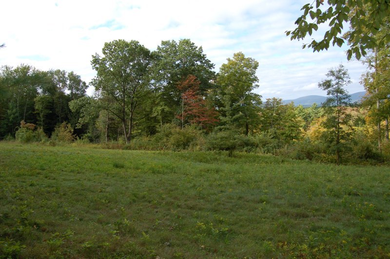 Home Road Great Barrington, MA 01230 - Photo 2 of 6 ready for your new home