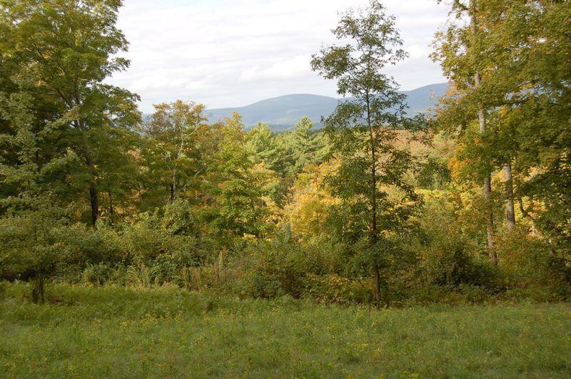 Home Road Great Barrington, MA 01230 - Photo 3 of 6 nice and private