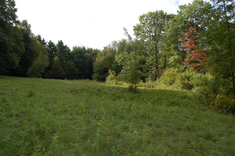 Home Road Great Barrington, MA 01230 - Photo 4 of 6 gently sloping lot