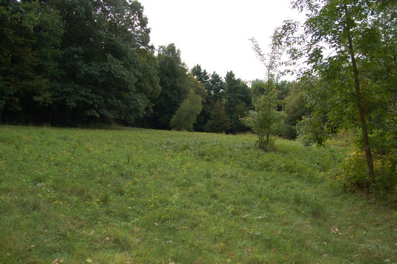 Home Road Great Barrington, MA 01230 - Photo 5 of 6 gently sloping lot