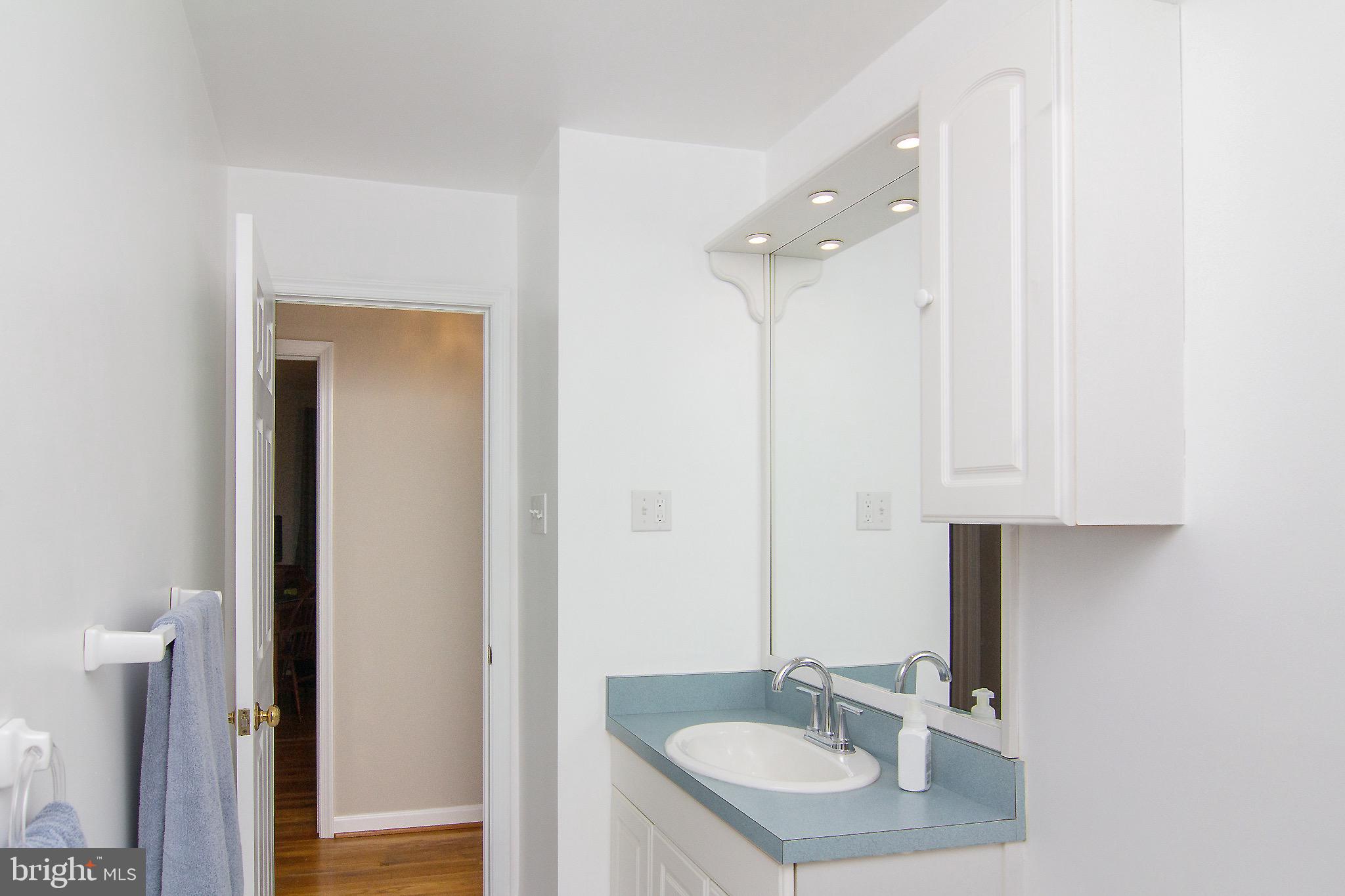 4813 Millers Station Road Hampstead, MD 21074 - Photo 24 of 32 a bathroom with a granite countertop sink a mirror and a shower