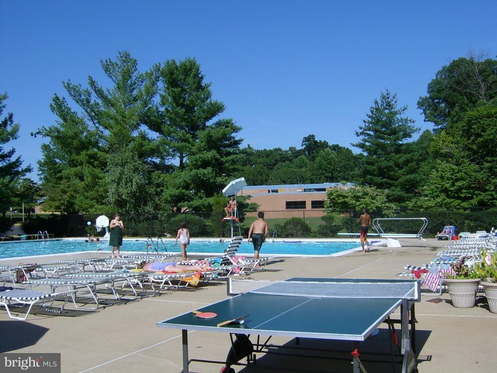 5504 Miles Court Springfield, VA 22151 - Photo 28 of 29 Community Pool