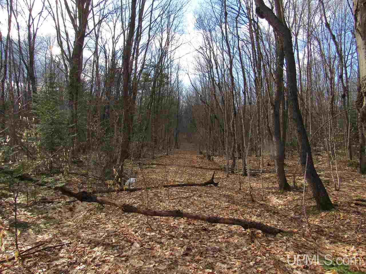 Tbd--x Crossover Road Munising, MI 49862 - Photo 19 of 23