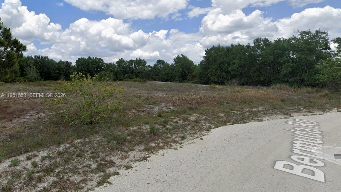 1906 West Bermuda Road Avon Park, FL 33825 - Photo 4 of 5