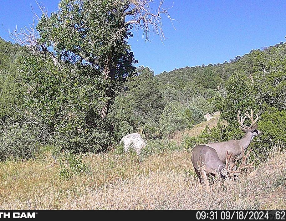 17001 Peacock Road Trinidad, CO 81082 - Photo 61 of 62