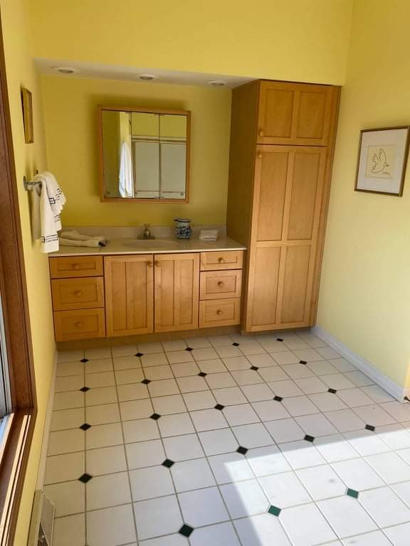 2346 West Longhollow Road Elizabeth, IL 61028 - Photo 27 of 44 a bathroom with a sink and a mirror