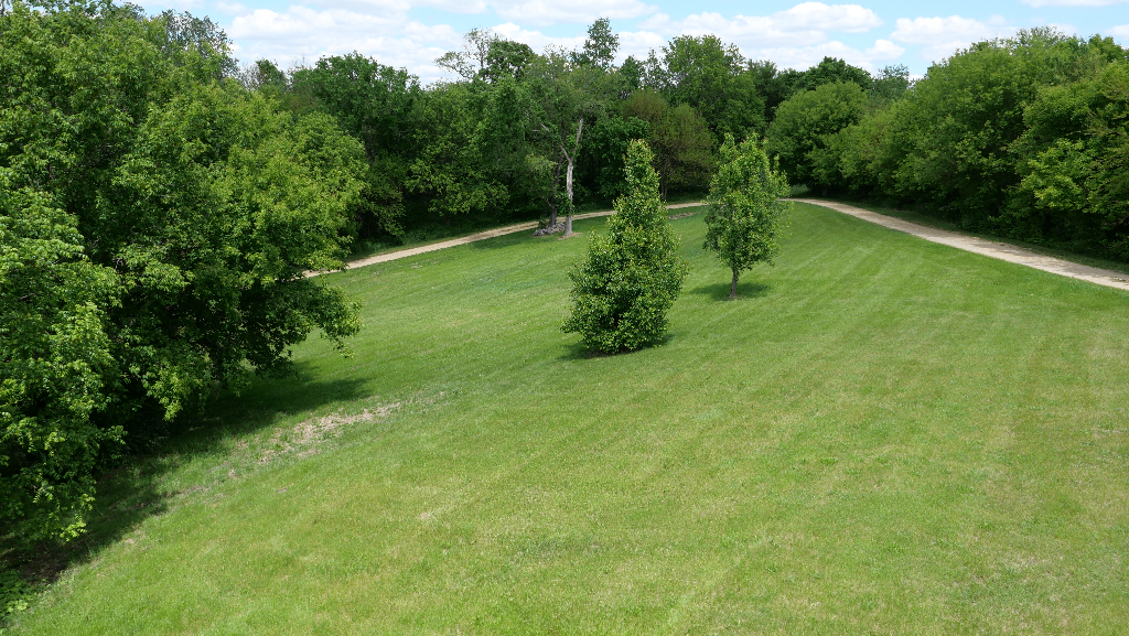 2346 West Longhollow Road Elizabeth, IL 61028 - Photo 3 of 44 a lush green forest with lots of trees