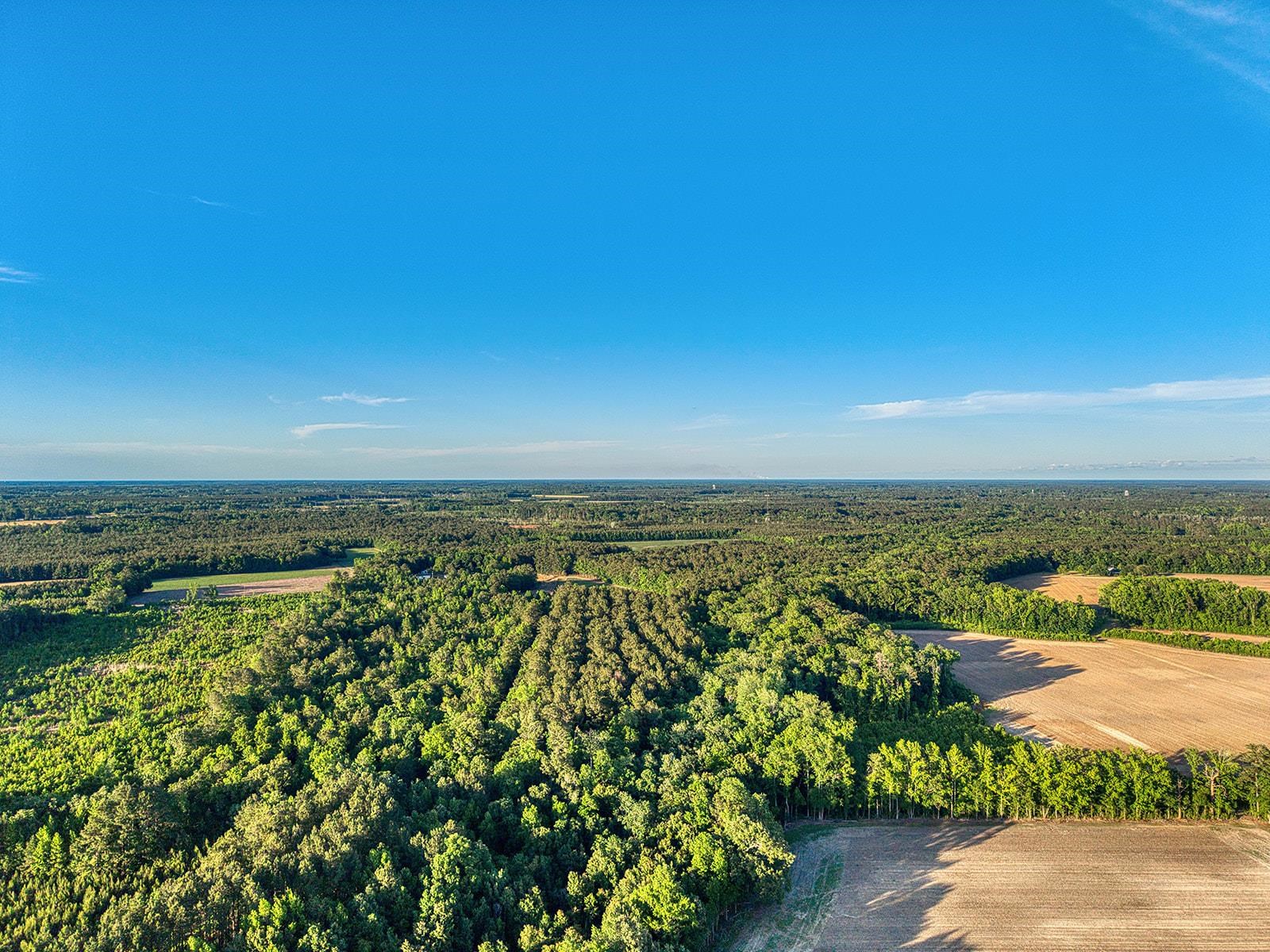 Tbd Tbd Chair Road Hemingway, SC 29554 - Photo 36 of 37