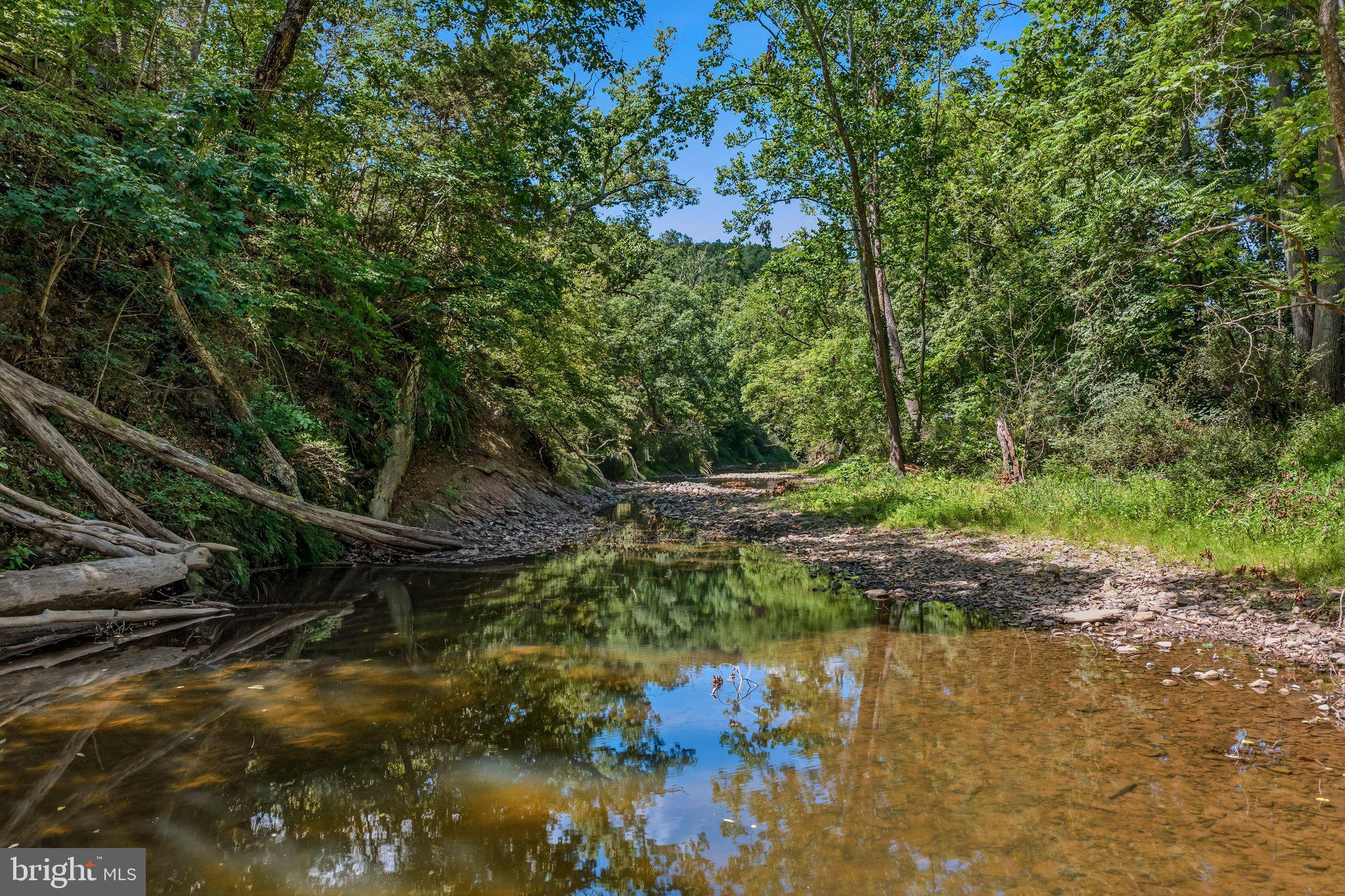 765 Whitetail Crossing Road Augusta, WV 26704 - Photo 57 of 77 Cacapon River