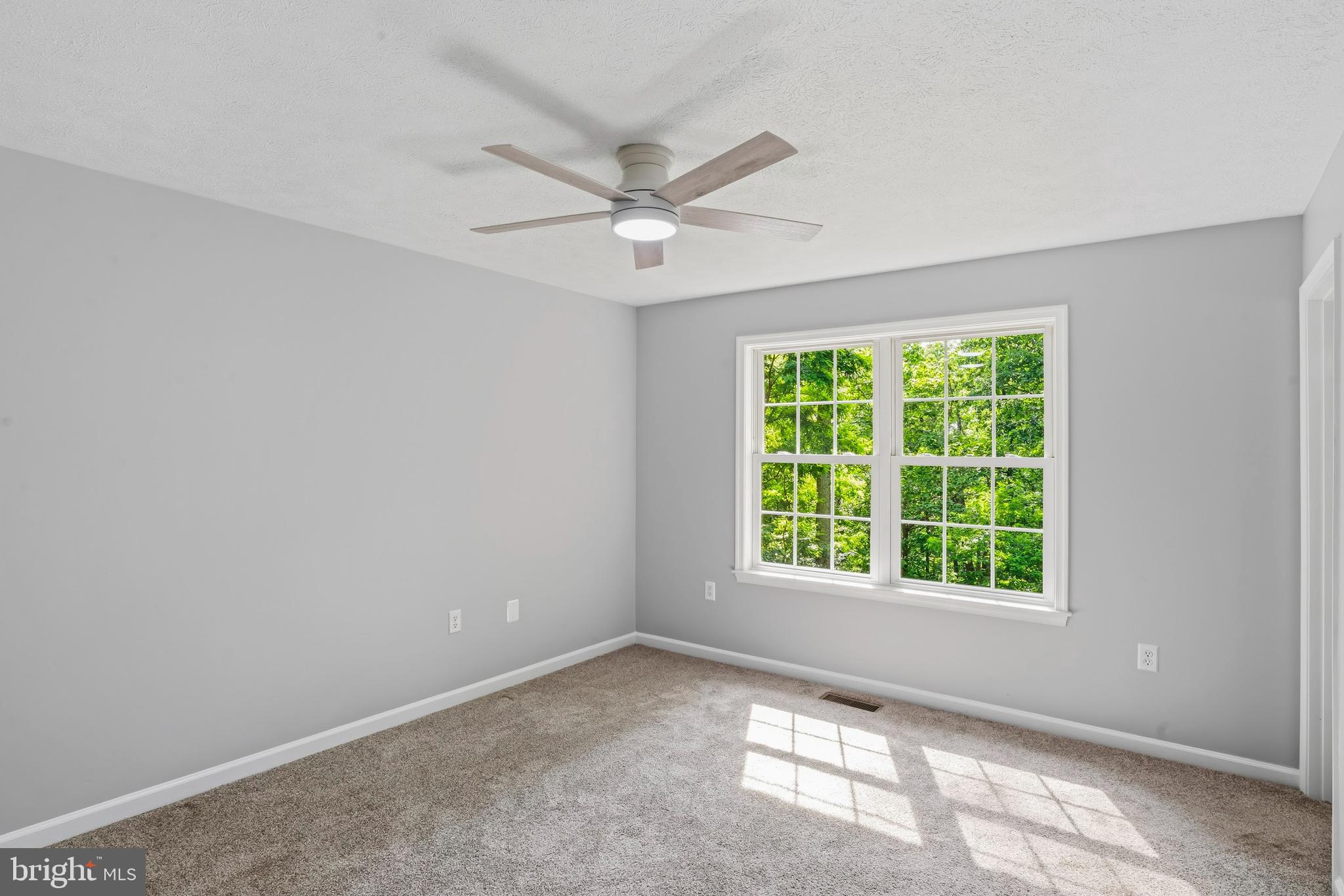 997 Wilderness Road Linden, VA 22642 - Photo 20 of 61 Primary bedroom with double window