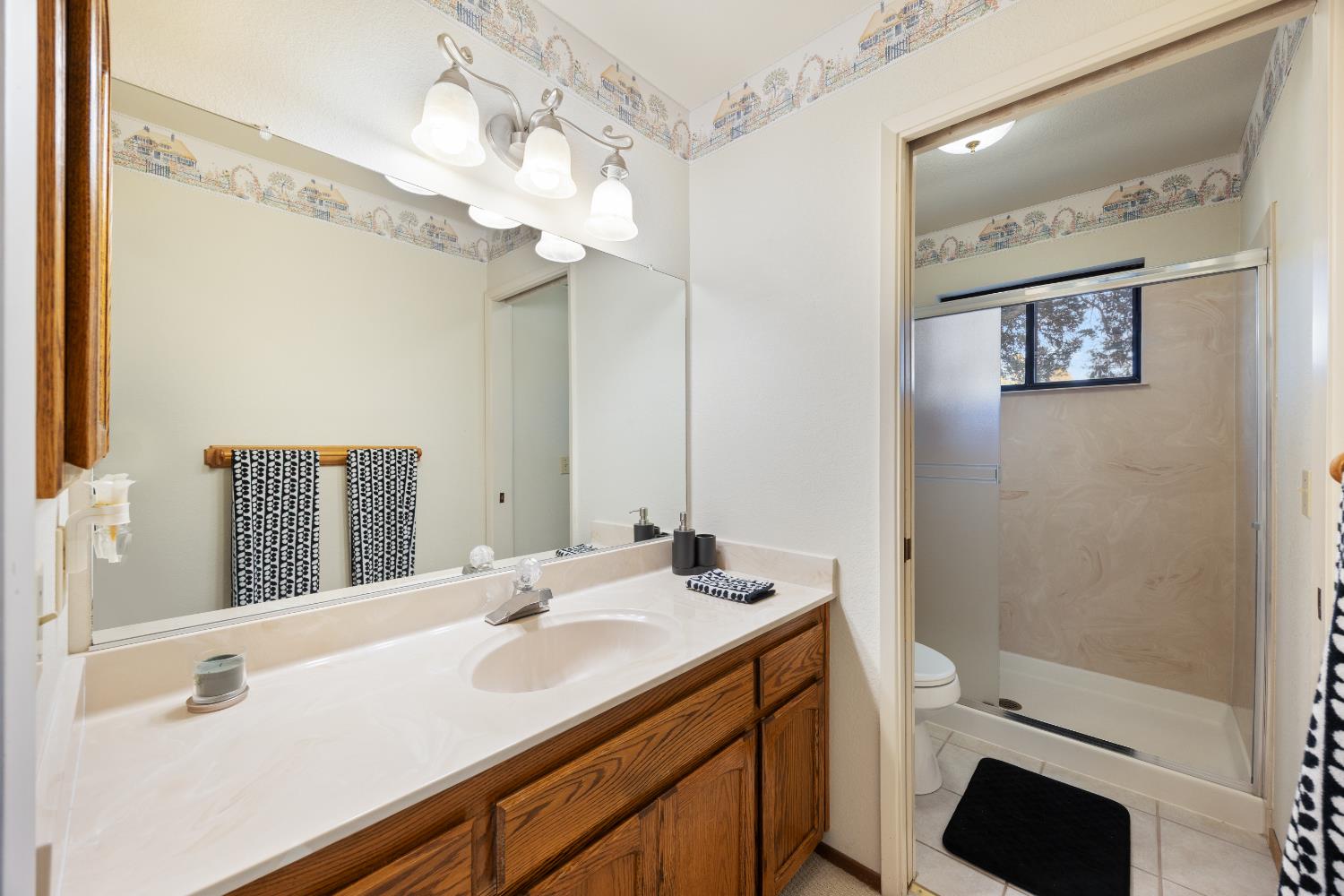 3980 Rustic Road Cameron Park, CA 95682 - Photo 19 of 42 a bathroom with a sink a toilet a mirror and shower