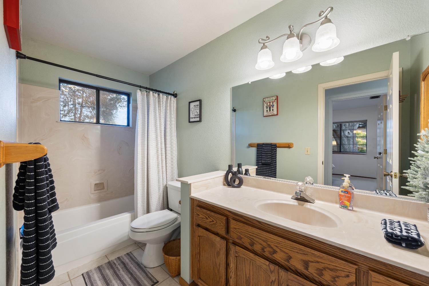 3980 Rustic Road Cameron Park, CA 95682 - Photo 23 of 42 a bathroom with a sink a toilet and a large mirror