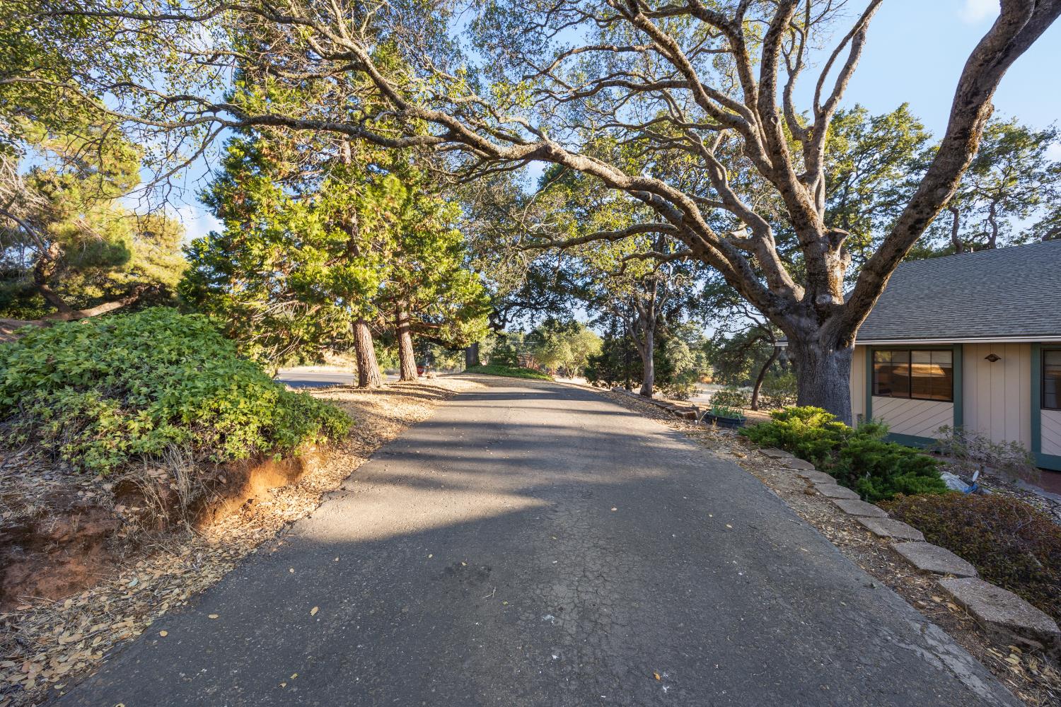 3980 Rustic Road Cameron Park, CA 95682 - Photo 36 of 42 a view of road with large trees