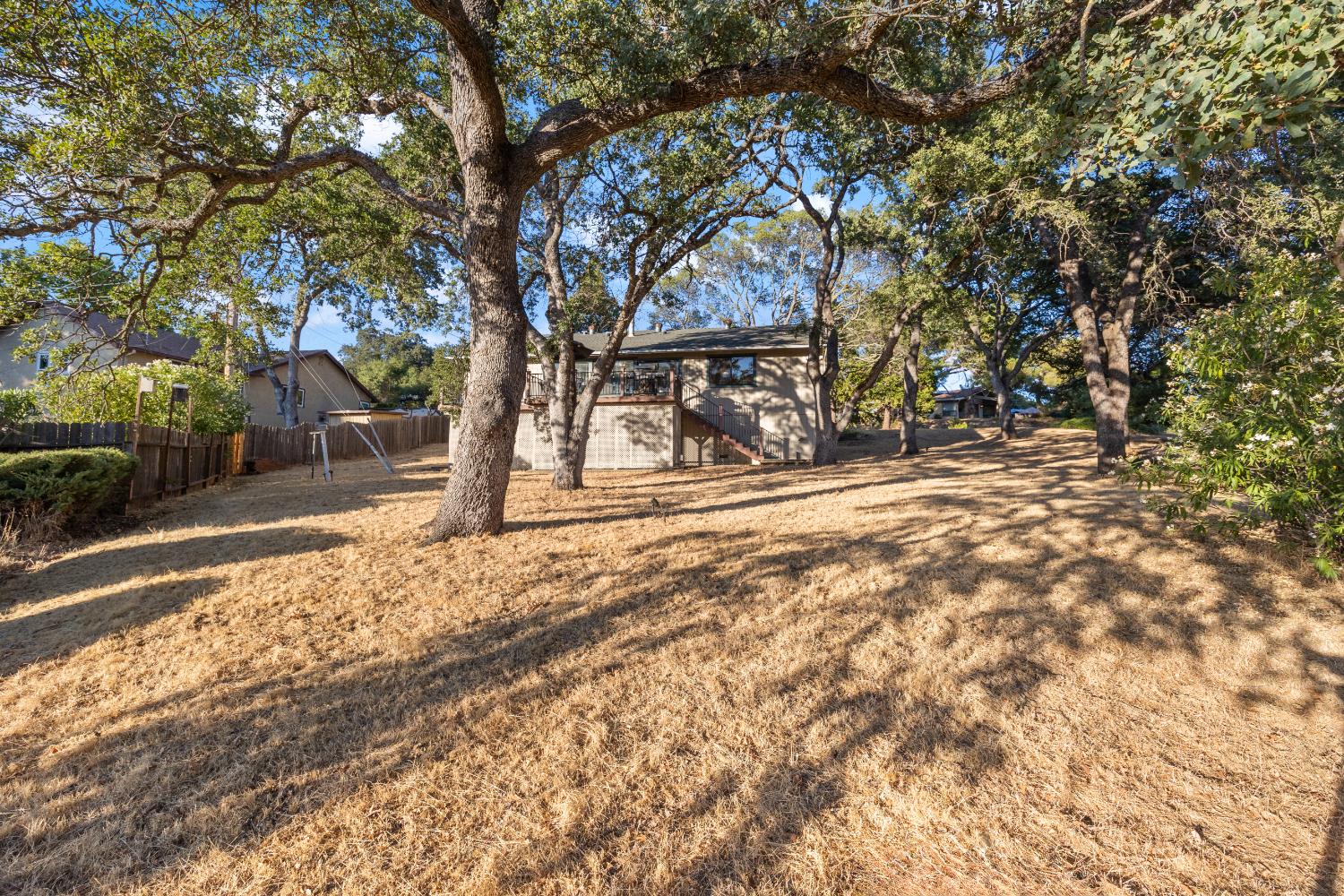 3980 Rustic Road Cameron Park, CA 95682 - Photo 38 of 42 a view of tree in front of building