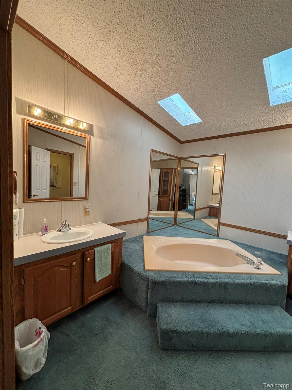 2500 Mann Road Clarkston, MI 48346 - Photo 21 of 28 Full bathroom with a skylight, vanity, ornamental molding, and a textured ceiling