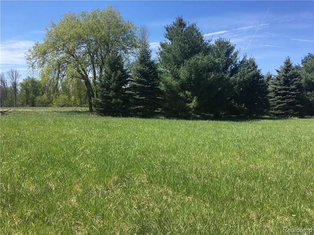 0 Bordman Road Leonard, MI 48367 - Photo 3 of 9
