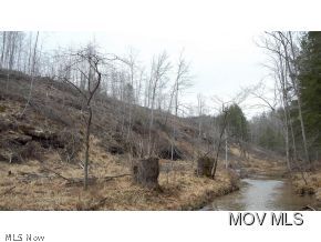 0 C Road Harrisville, WV 26362 - Photo 4 of 10