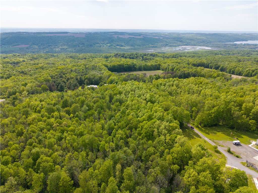 6731 Stagecoach Road Conesus, NY 14435 - Photo 48 of 50
