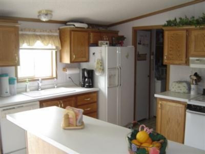 923 Constantine Street Three Rivers, MI 49093 - Photo 4 of 12 Additional Photo